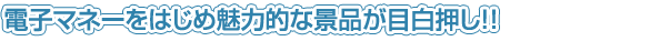 電子マネーを初め魅力的な景品が目白押し！
